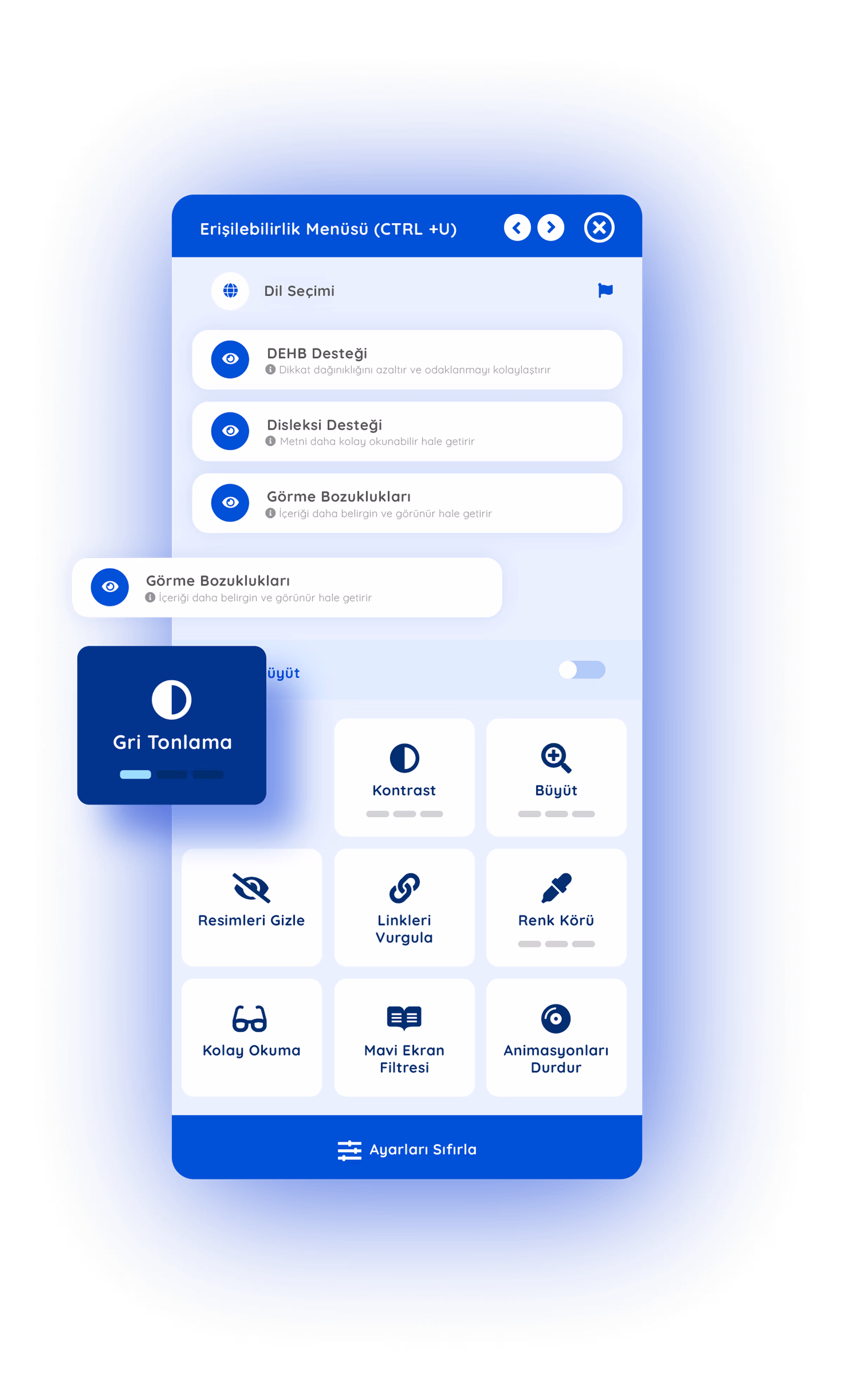 Accessibility application interface